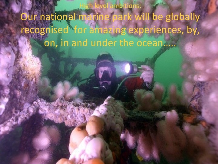 High level ambitions: Our national marine park will be globally recognised for amazing experiences,