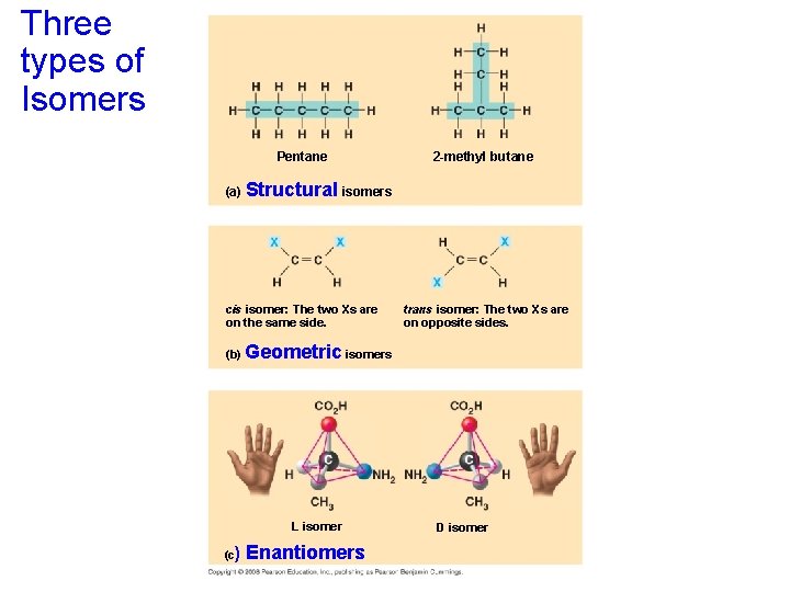 Three types of Isomers Pentane 2 -methyl butane (a) Structural isomers cis isomer: The