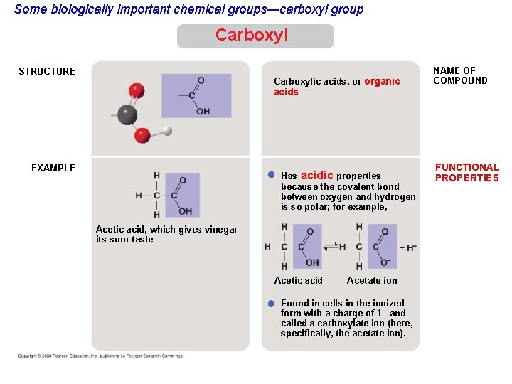 Some biologically important chemical groups—carboxyl group Carboxyl STRUCTURE Carboxylic acids, or organic NAME OF