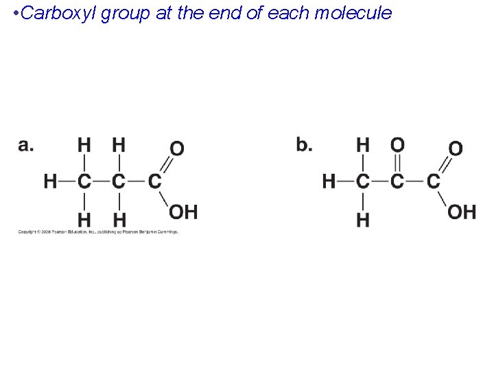  • Carboxyl group at the end of each molecule 