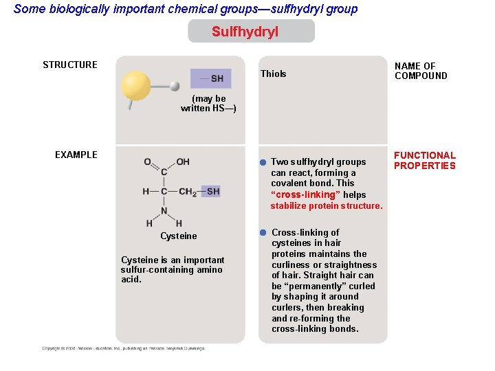Some biologically important chemical groups—sulfhydryl group Sulfhydryl STRUCTURE Thiols NAME OF COMPOUND (may be
