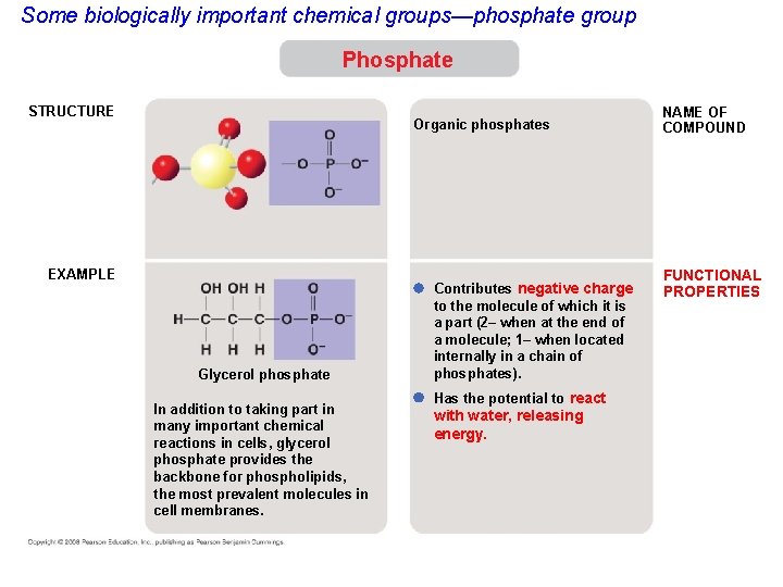 Some biologically important chemical groups—phosphate group Phosphate STRUCTURE Organic phosphates EXAMPLE Glycerol phosphate In