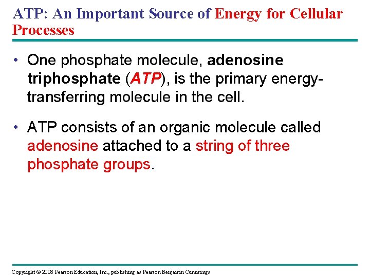 ATP: An Important Source of Energy for Cellular Processes • One phosphate molecule, adenosine