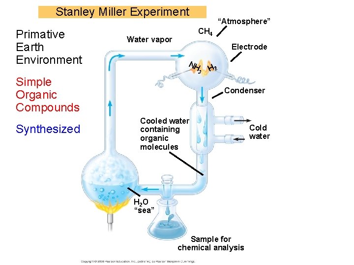 Stanley Miller Experiment Primative Earth Environment “Atmosphere” CH 4 Water vapor Electrode NH 3