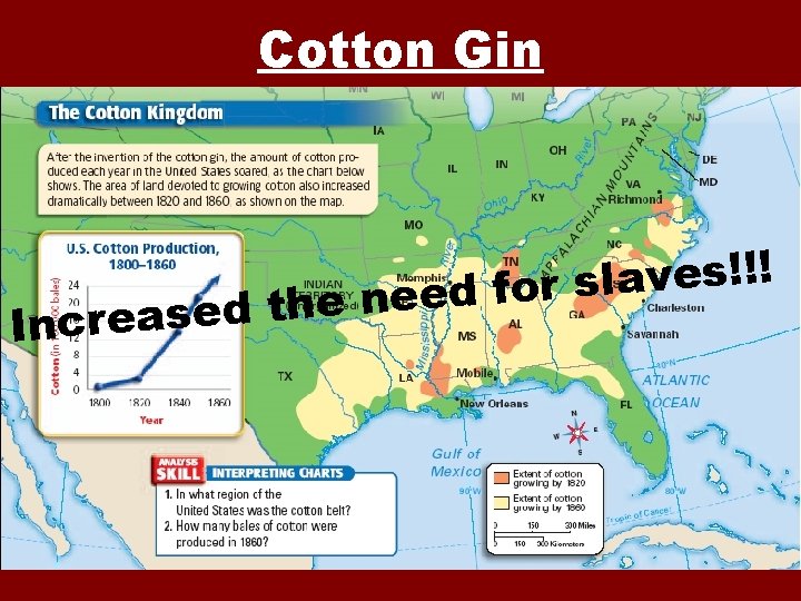 Cotton Gin ! ! ! s e v a l s r o f