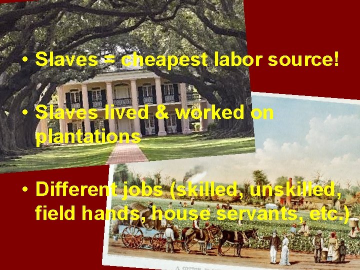  • Slaves = cheapest labor source! • Slaves lived & worked on plantations
