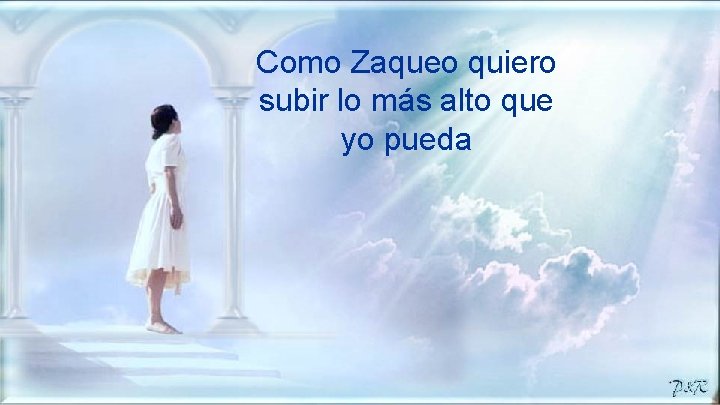 Como Zaqueo quiero subir lo más alto que yo pueda 