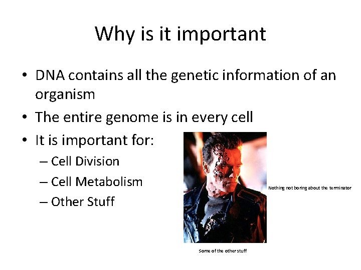 Why is it important • DNA contains all the genetic information of an organism