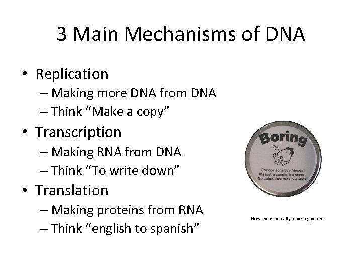 3 Main Mechanisms of DNA • Replication – Making more DNA from DNA –