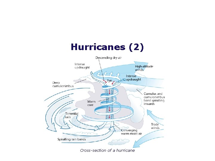 Hurricanes (2) Cross-section of a hurricane 