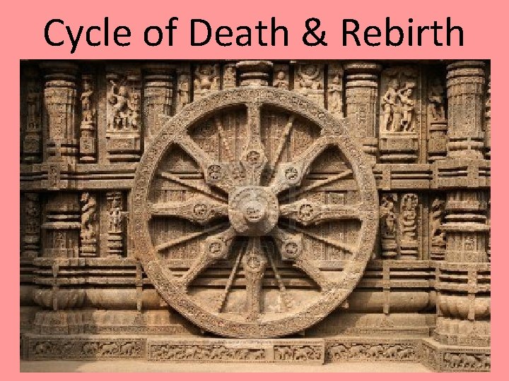 Cycle of Death & Rebirth 