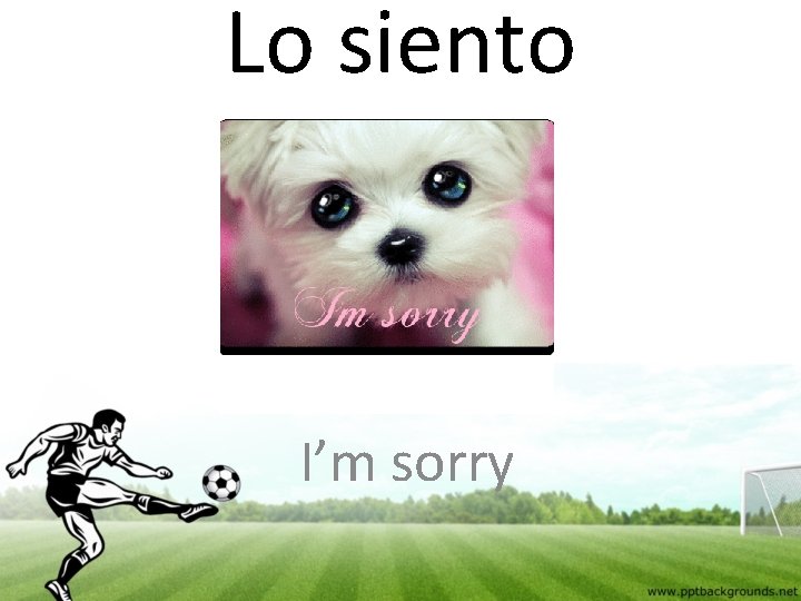 Lo siento I’m sorry 