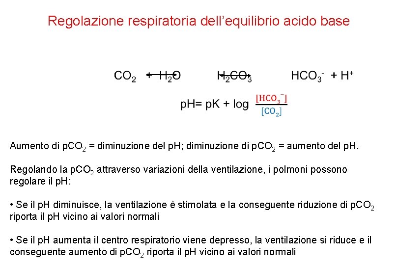 Regolazione respiratoria dell’equilibrio acido base Aumento di p. CO 2 = diminuzione del p.