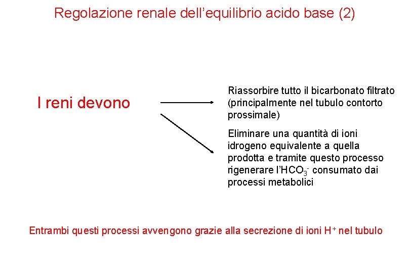 Regolazione renale dell’equilibrio acido base (2) I reni devono Riassorbire tutto il bicarbonato filtrato