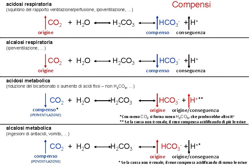 Compensi acidosi respiratoria (squilibrio del rapporto ventilazione/perfusione, ipoventilazione, …) CO 2 + H 2