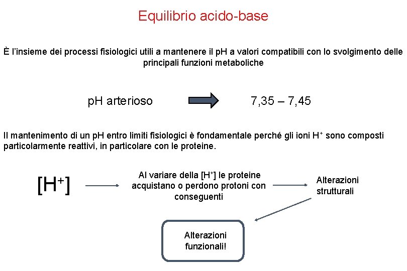 Equilibrio acido-base È l’insieme dei processi fisiologici utili a mantenere il p. H a