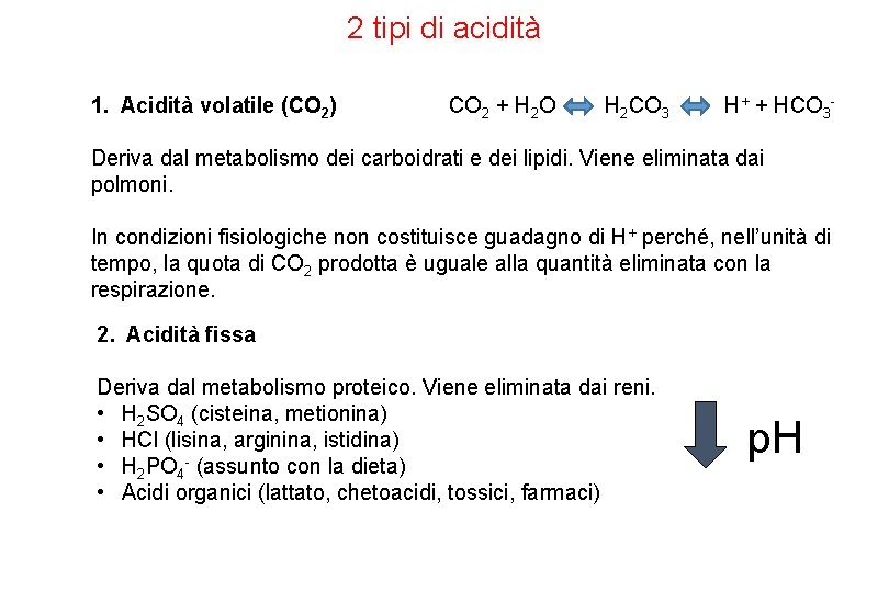 2 tipi di acidità 1. Acidità volatile (CO 2) CO 2 + H 2