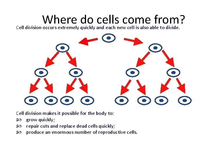 Where do cells come from? Cell division occurs extremely quickly and each new cell