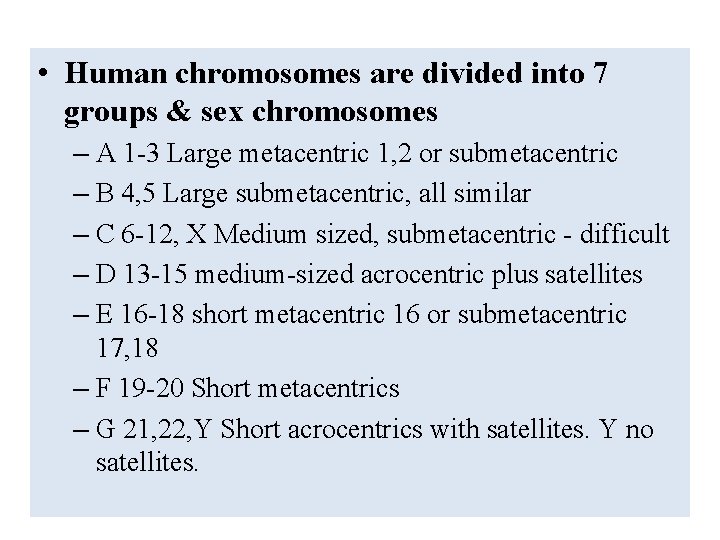  • Human chromosomes are divided into 7 groups & sex chromosomes – A