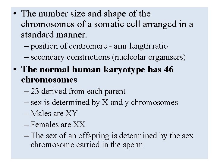  • The number size and shape of the chromosomes of a somatic cell
