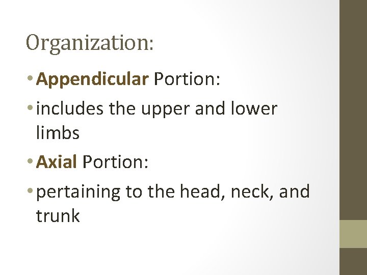 Organization: • Appendicular Portion: • includes the upper and lower limbs • Axial Portion: