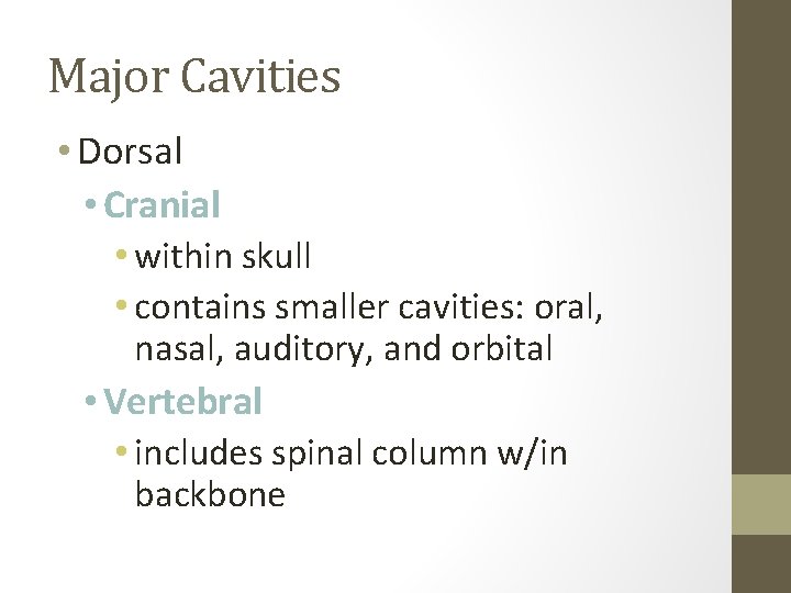 Major Cavities • Dorsal • Cranial • within skull • contains smaller cavities: oral,