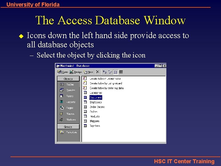 University of Florida The Access Database Window u Icons down the left hand side