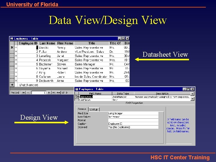 University of Florida Data View/Design View Datasheet View Design View HSC IT Center Training