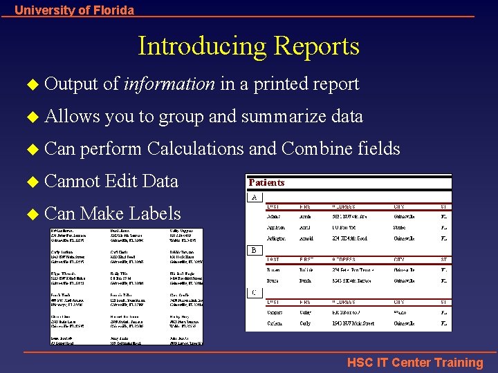 University of Florida Introducing Reports u Output of information in a printed report u
