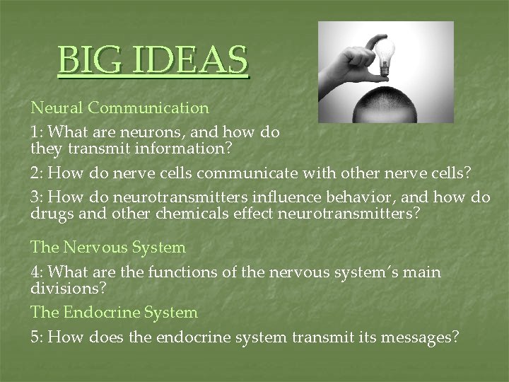 BIG IDEAS Neural Communication 1: What are neurons, and how do they transmit information?