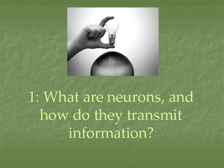 1: What are neurons, and how do they transmit information? 