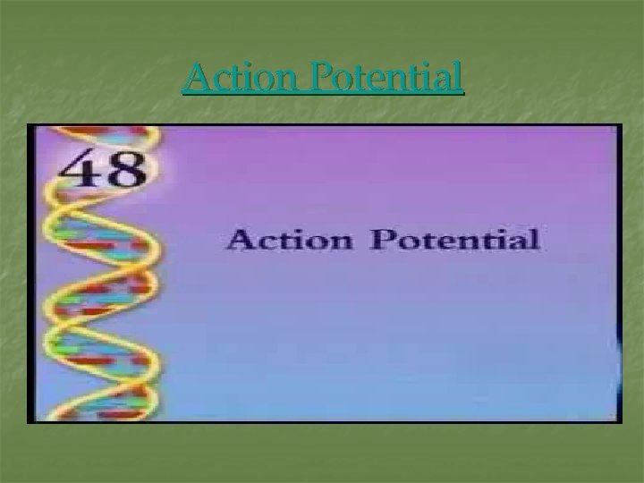 Action Potential 