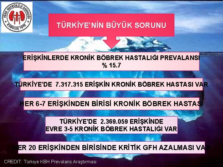 TÜRKİYE’NİN BÜYÜK SORUNU ERİŞKİNLERDE KRONİK BÖBREK HASTALIĞI PREVALANSI % 15. 7 TÜRKİYE’DE 7. 315