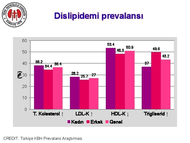 Dislipidemi prevalansı 60 53. 4 48. 3 50 (%) 40 50. 9 49. 6