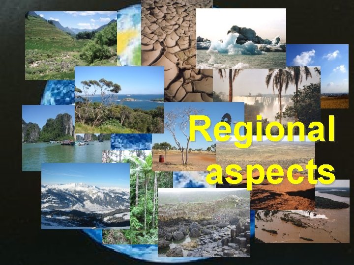 Regional aspects 