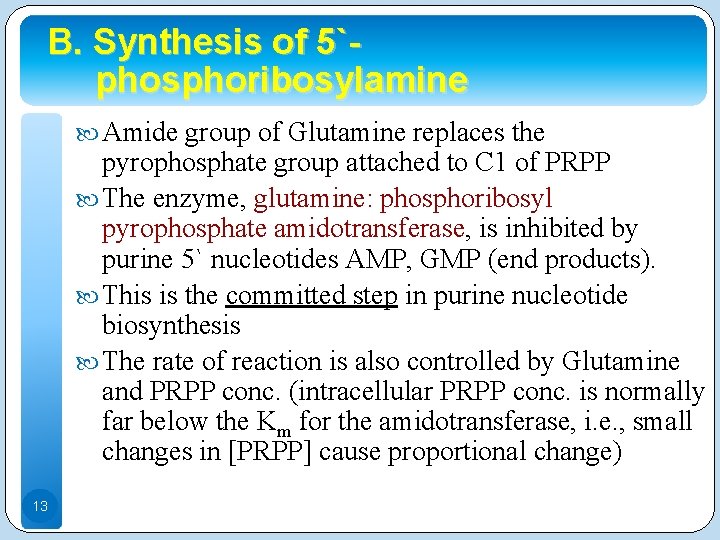 B. Synthesis of 5`phosphoribosylamine Amide group of Glutamine replaces the pyrophosphate group attached to
