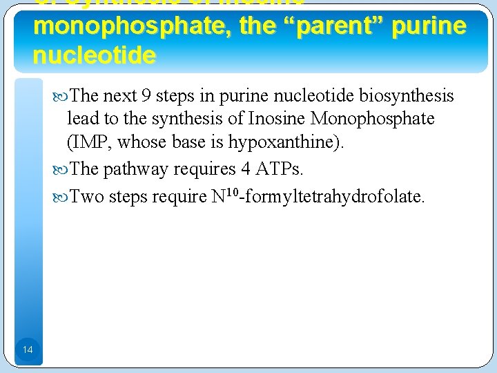C. Synthesis of inosine monophosphate, the “parent” purine nucleotide The next 9 steps in