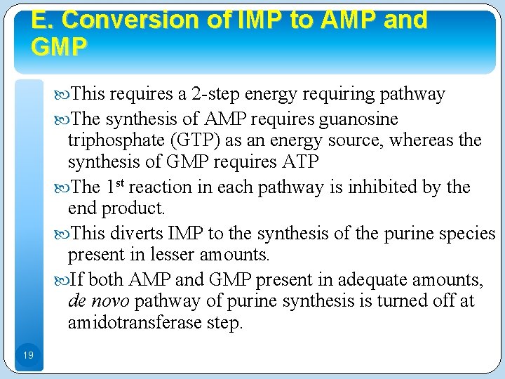 E. Conversion of IMP to AMP and GMP This requires a 2 -step energy