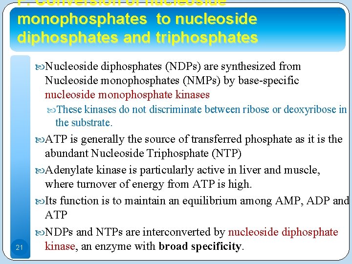 F. Conversion of nucleoside monophosphates to nucleoside diphosphates and triphosphates Nucleoside diphosphates (NDPs) are