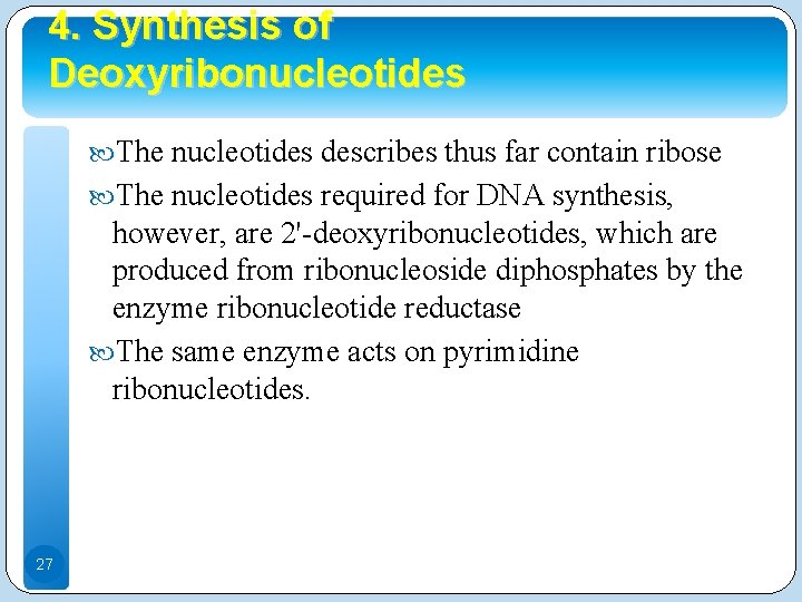 4. Synthesis of Deoxyribonucleotides The nucleotides describes thus far contain ribose The nucleotides required