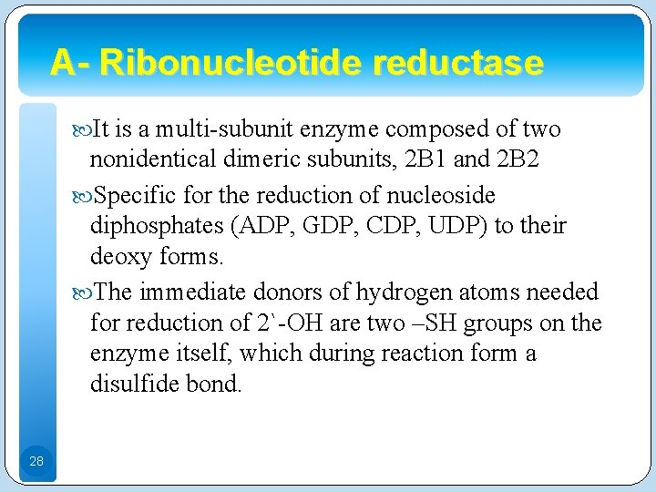 A- Ribonucleotide reductase It is a multi-subunit enzyme composed of two nonidentical dimeric subunits,
