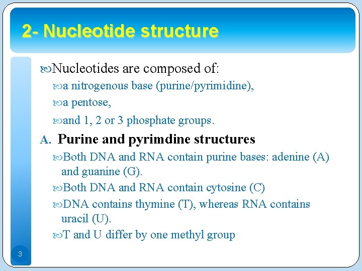 2 - Nucleotide structure Nucleotides are composed of: a nitrogenous base (purine/pyrimidine), a pentose,