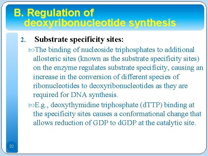 B. Regulation of deoxyribonucleotide synthesis 2. Substrate specificity sites: The binding of nucleoside triphosphates