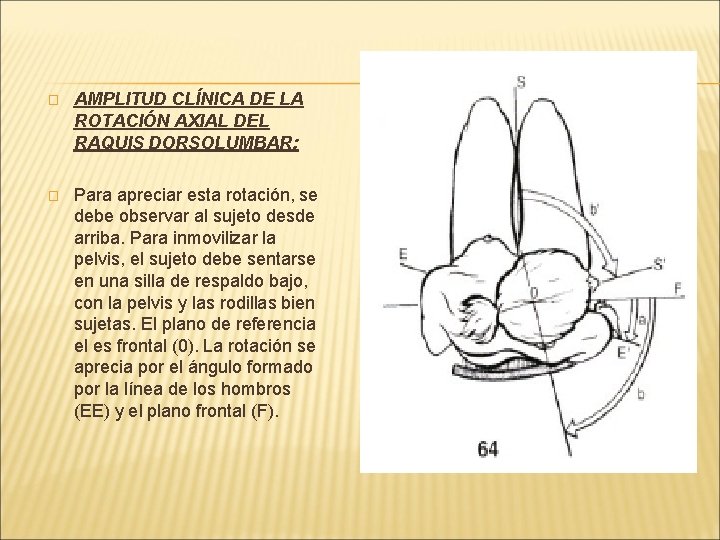 � AMPLITUD CLÍNICA DE LA ROTACIÓN AXIAL DEL RAQUIS DORSOLUMBAR: � Para apreciar esta � AMPLITUD CLÍNICA DE LA ROTACIÓN AXIAL DEL RAQUIS DORSOLUMBAR: � Para apreciar esta