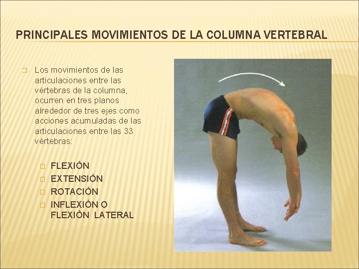 PRINCIPALES MOVIMIENTOS DE LA COLUMNA VERTEBRAL � Los movimientos de las articulaciones entre las PRINCIPALES MOVIMIENTOS DE LA COLUMNA VERTEBRAL � Los movimientos de las articulaciones entre las