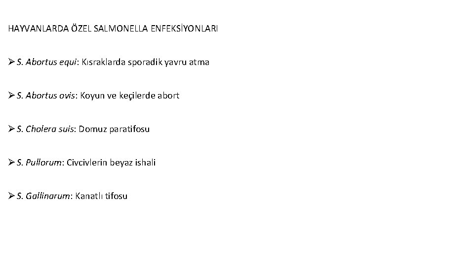 HAYVANLARDA ÖZEL SALMONELLA ENFEKSİYONLARI Ø S. Abortus equi: Kısraklarda sporadik yavru atma Ø S.