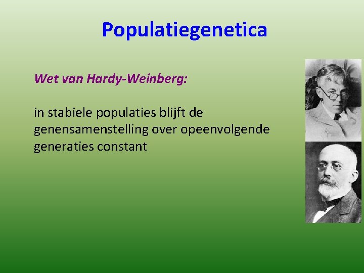 Populatiegenetica Wet van Hardy-Weinberg: in stabiele populaties blijft de genensamenstelling over opeenvolgende generaties constant