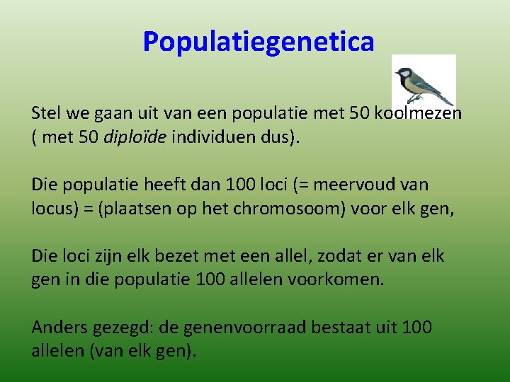 Populatiegenetica Stel we gaan uit van een populatie met 50 koolmezen ( met 50