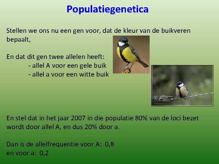 Populatiegenetica Stellen we ons nu een gen voor, dat de kleur van de buikveren