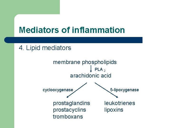 Mediators of inflammation 4. Lipid mediators membrane phospholipids PLA 2 arachidonic acid cyclooxygenase prostaglandins